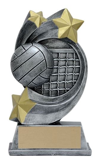 Image sur Trophée Volleyball