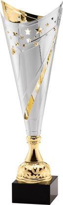 Image de Trophée Coupe