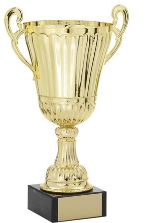 Image de la catégorie Trophées