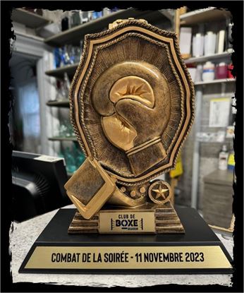 Image de Trophée de boxe